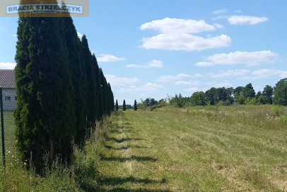 Działka Sprzedaż Nowe Wrońska